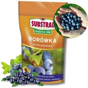 NAWÓZ ROZPUSZCZALNY INTERWENCYJNY SUBSTRAL DO BORÓWEK MAGICZNA SIŁA 350g